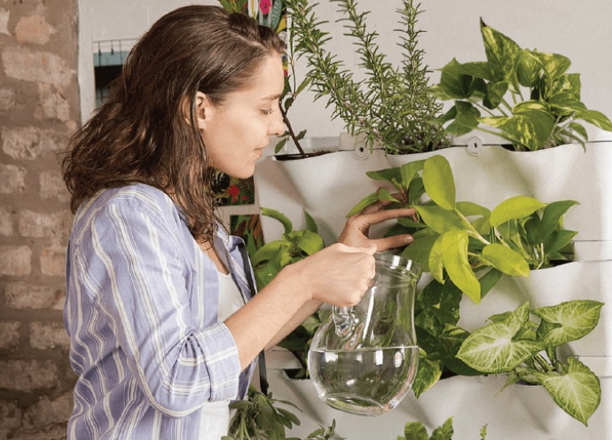 Con la ayuda de los jardines verticales ARREDO lanza el sistema de cultivo más avanzado del mundo