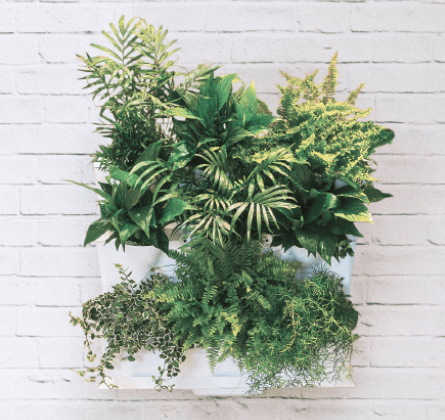 Con la ayuda de los jardines verticales ARREDO lanza el sistema de cultivo más avanzado del mundo
