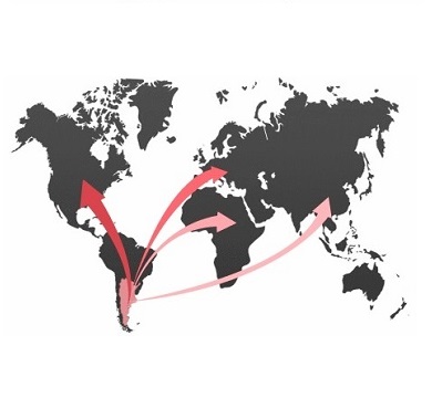 Te desafiamos a exportar tu franquicia en el 2021