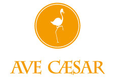 Franquicias AVE CAESAR disponibles