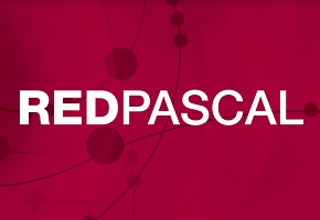 Nuevo webinar ofrecido por RED PASCAL